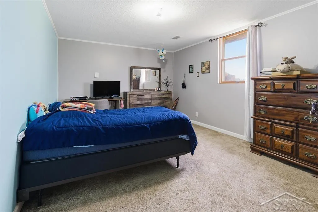 4469 E Millbrook Road Union Charter Township MI 48858