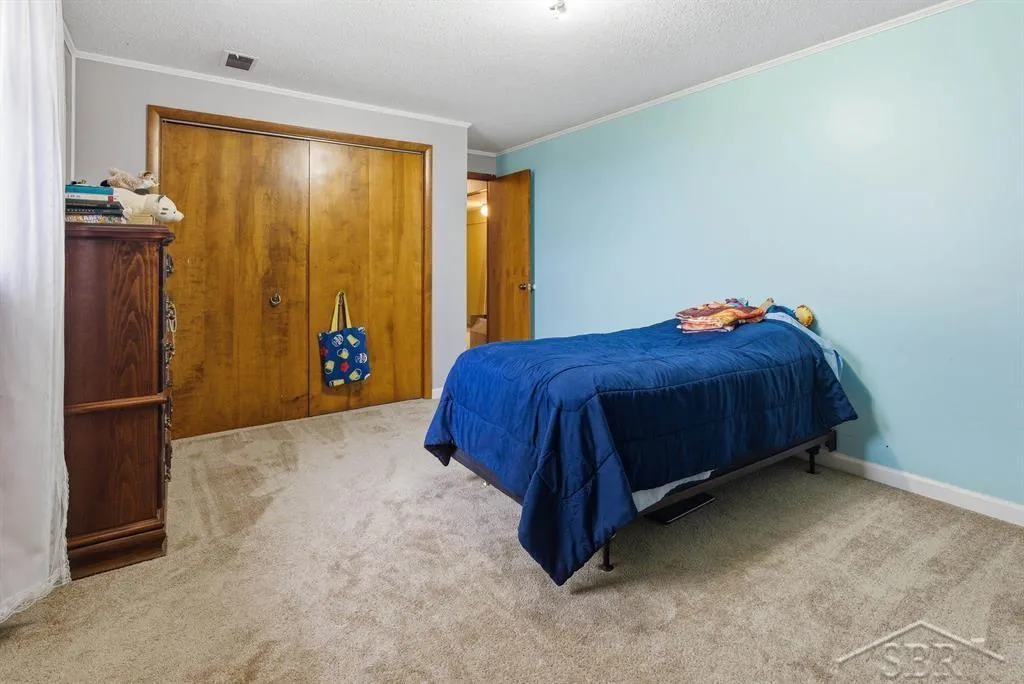4469 E Millbrook Road Union Charter Township MI 48858