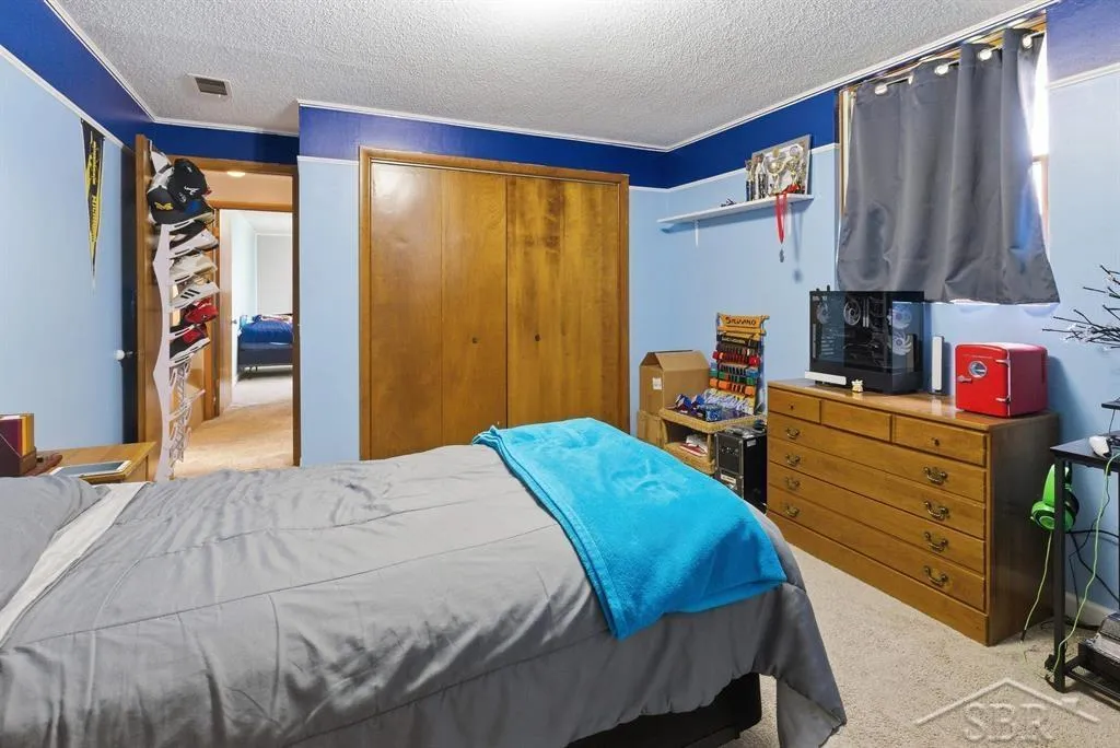 4469 E Millbrook Road Union Charter Township MI 48858