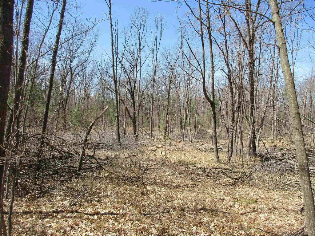 007-019-300-12 Clarence Road Harrison City MI 48625