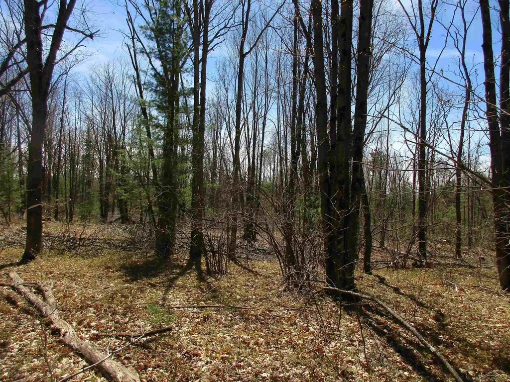 007-019-300-12 Clarence Road Harrison City MI 48625