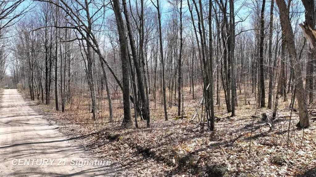 8995 N Harrison Avenue Frost Township MI 48625