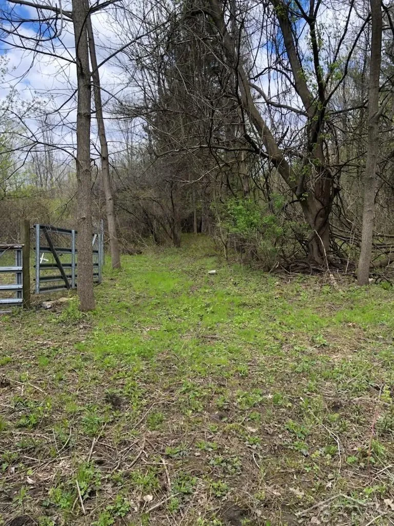 1329 E Isabella Road Homer Township MI 48640