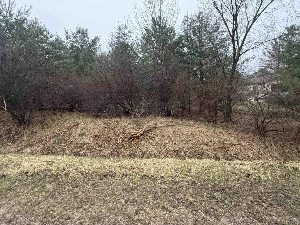 Lexington Avenue Butman Township MI 48624