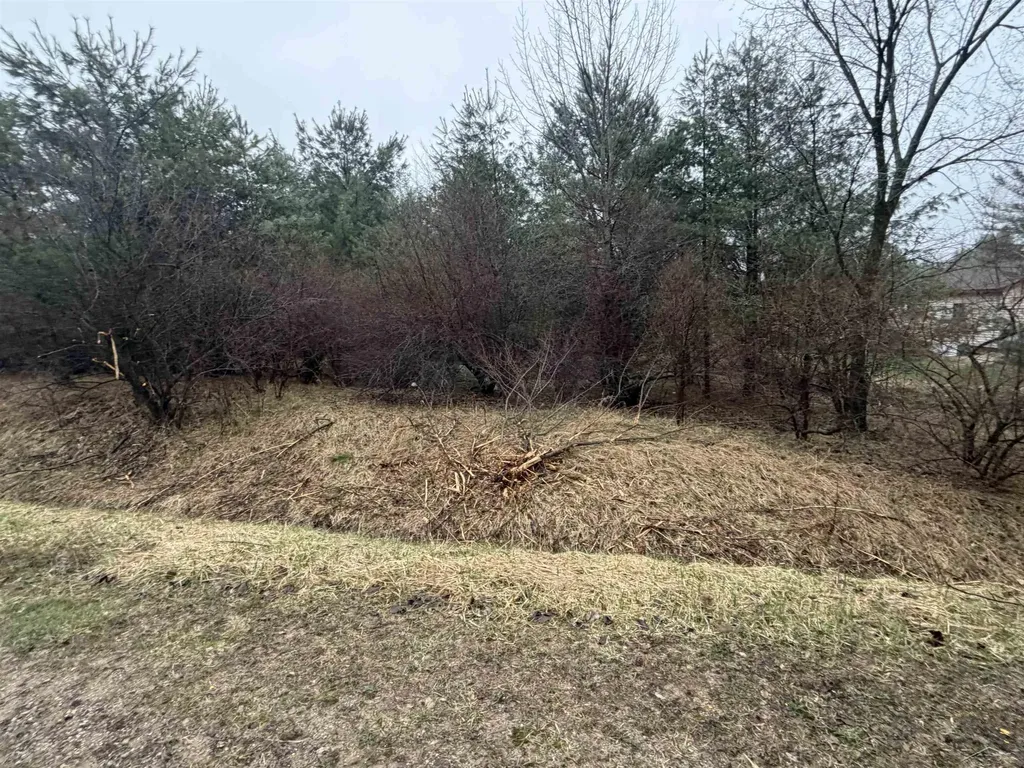 Lexington Avenue Butman Township MI 48624