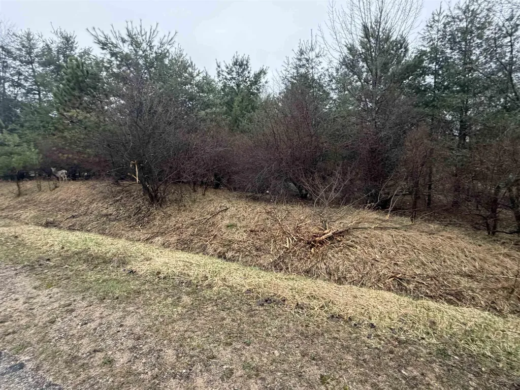 Lexington Avenue Butman Township MI 48624