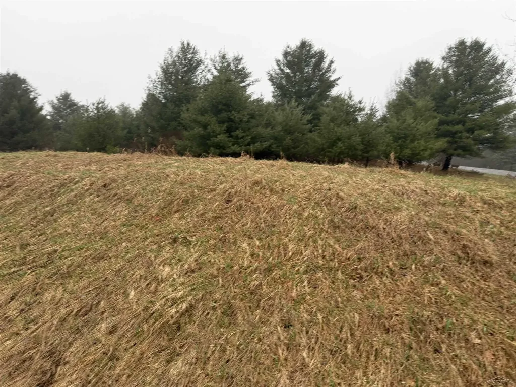Track Iron Trail Butman Township MI 48624