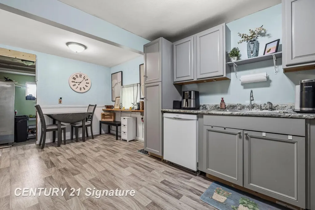 223 Harrison Drive Thomas Township MI 48609