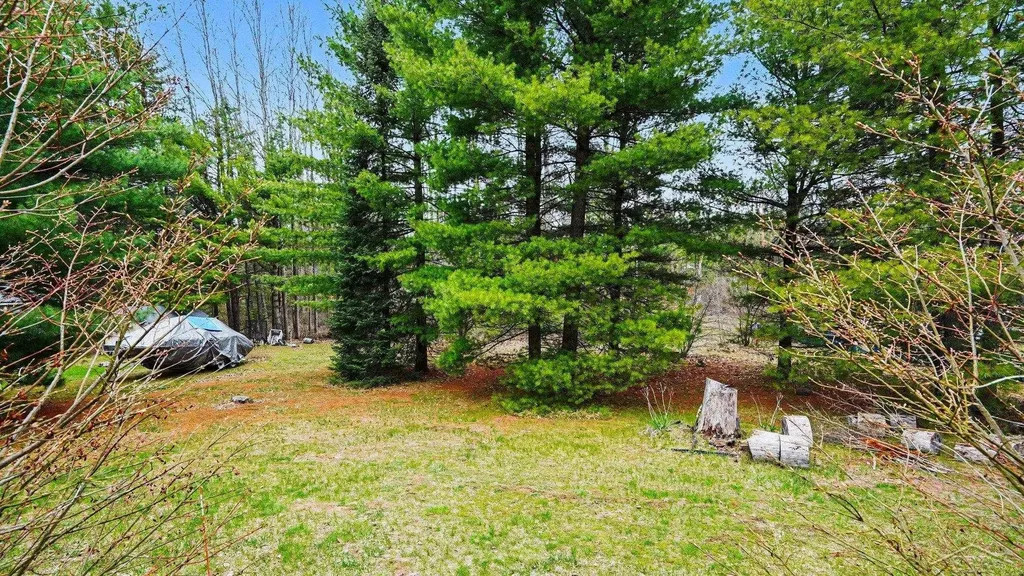 1553 Mills Road Mills Township MI 48756