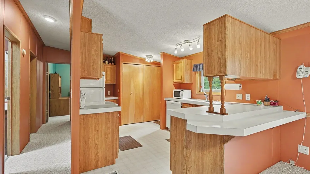 1553 Mills Road Mills Township MI 48756