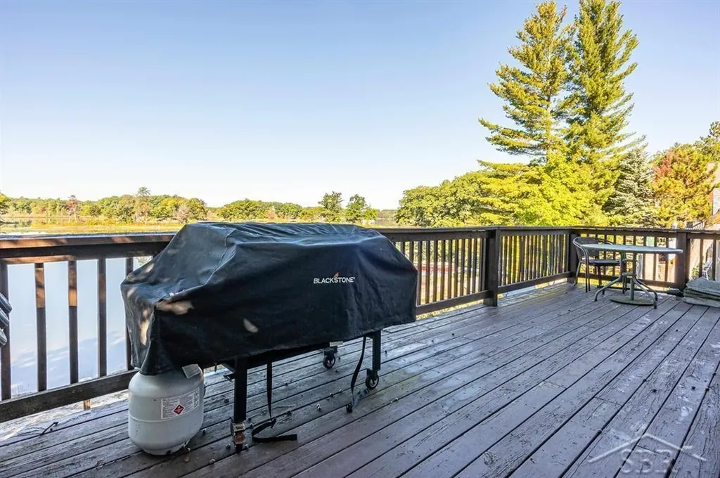 1876 S Schneider Street Lake Township MI 49651