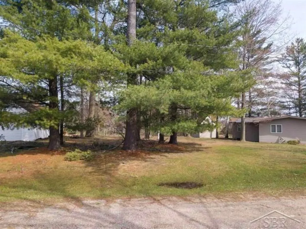 Ville N Oswegathie Lane Hope Township MI 48626