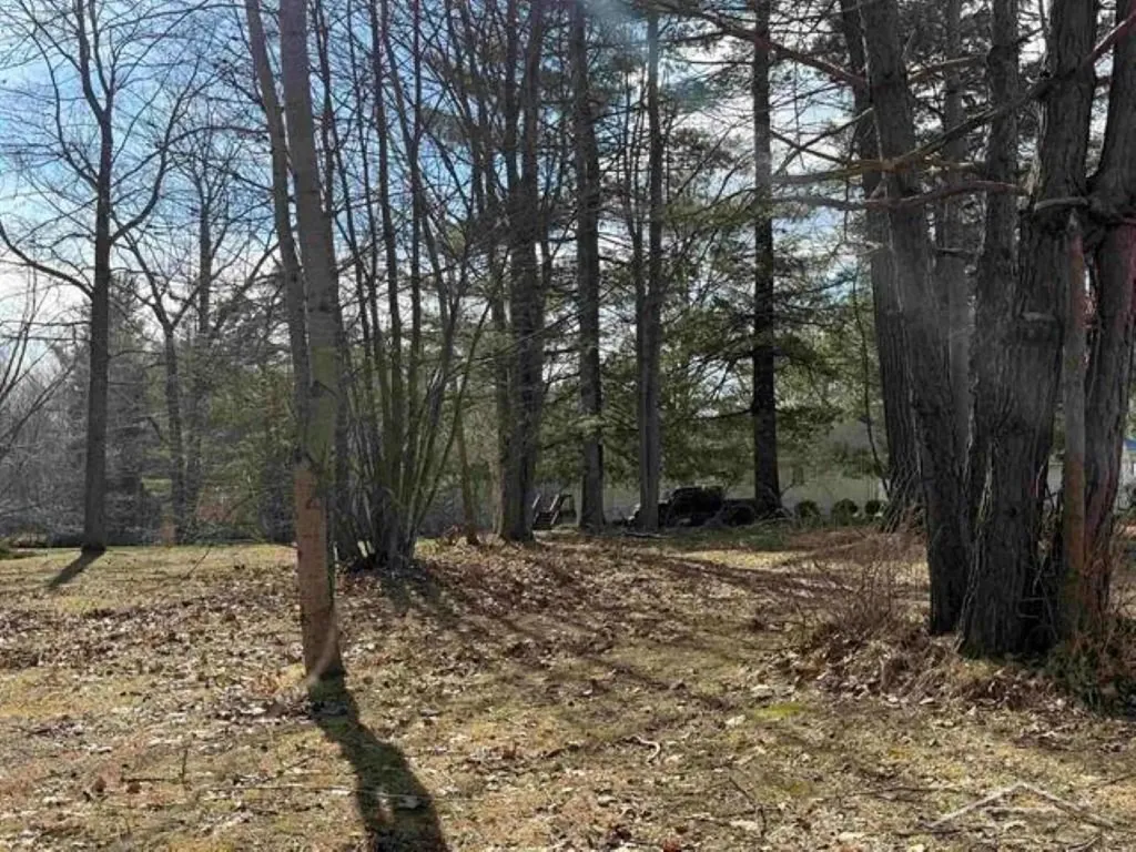 Ville N Oswegathie Lane Hope Township MI 48626