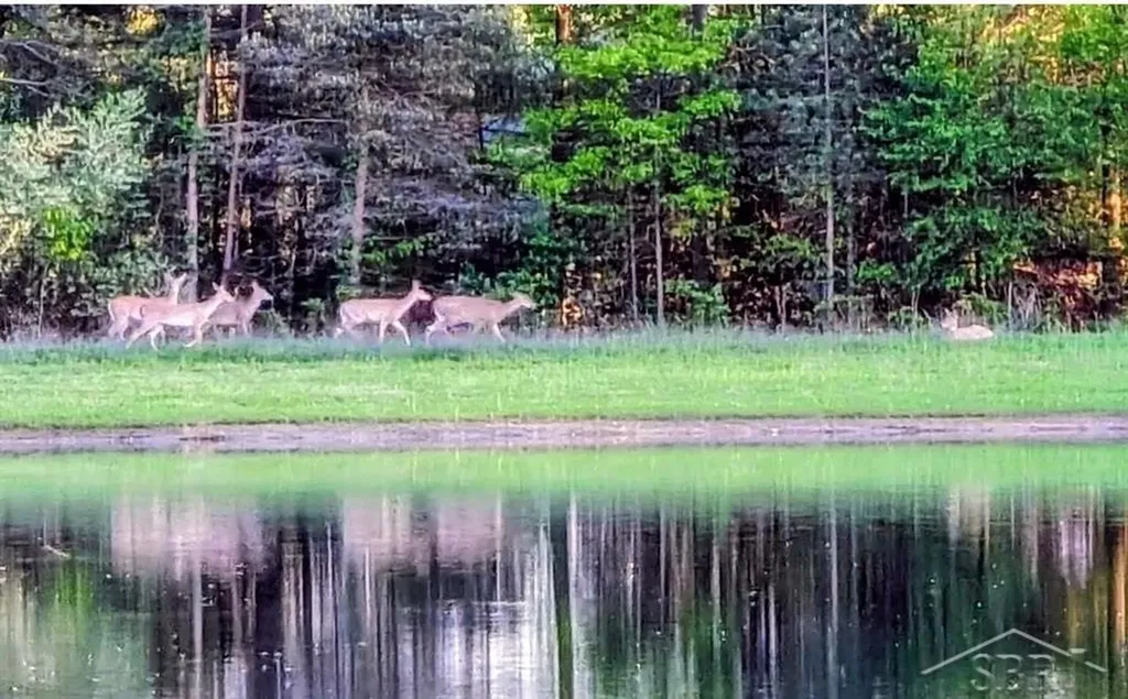 15251 Geddes Road Richland Township MI 48626