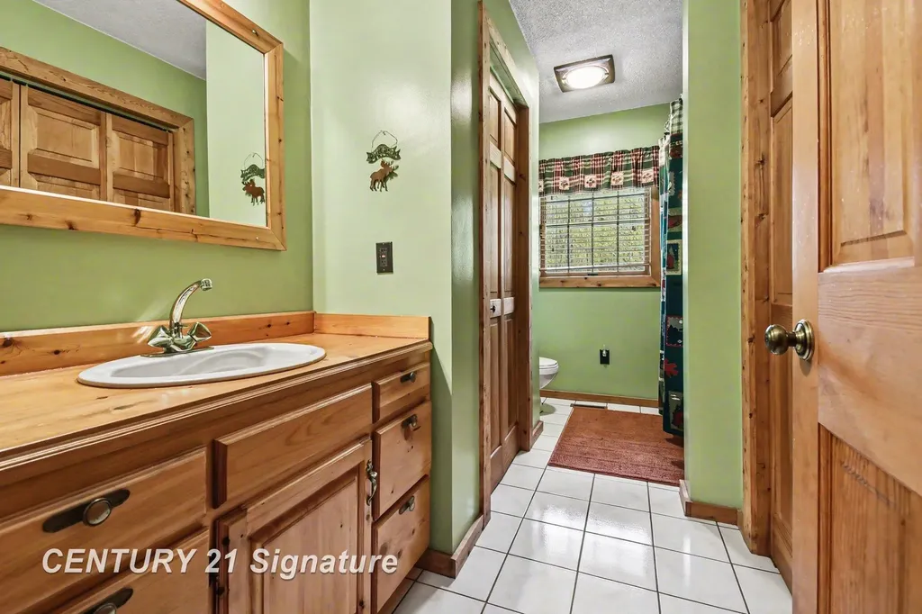 17790 W Peet Road Brady Township MI 48649
