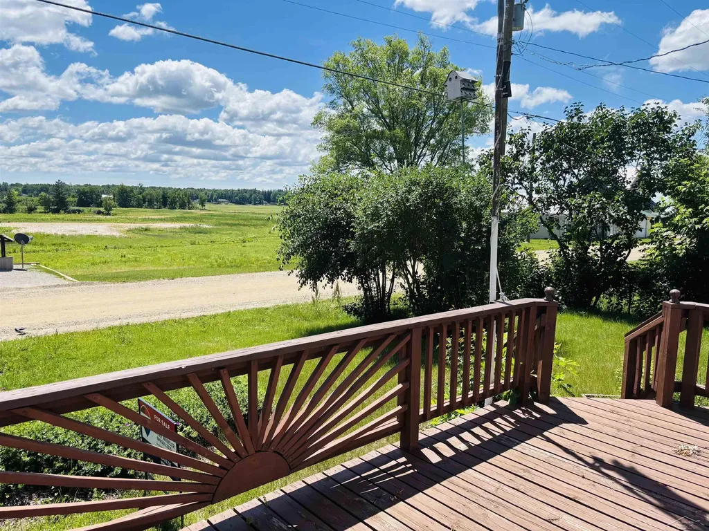 5456 Mangus Road Tobacco Township MI 48612