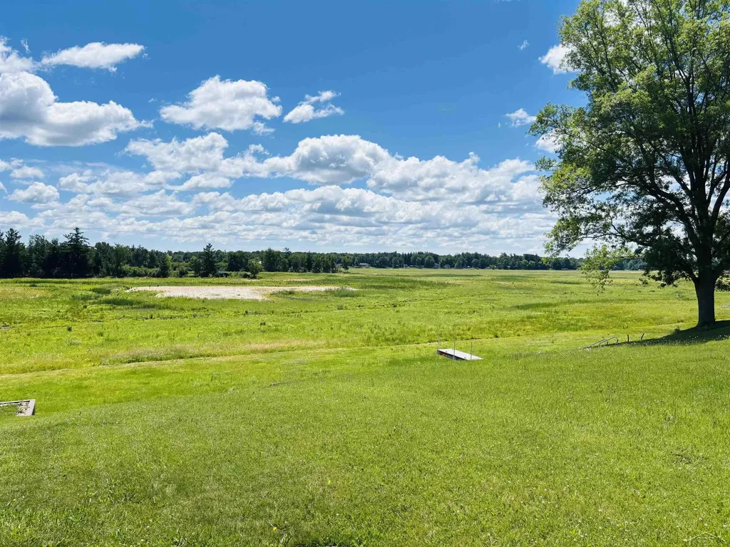 5456 Mangus Road Tobacco Township MI 48612