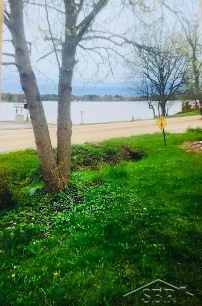 5456 Mangus Road Tobacco Township MI 48612