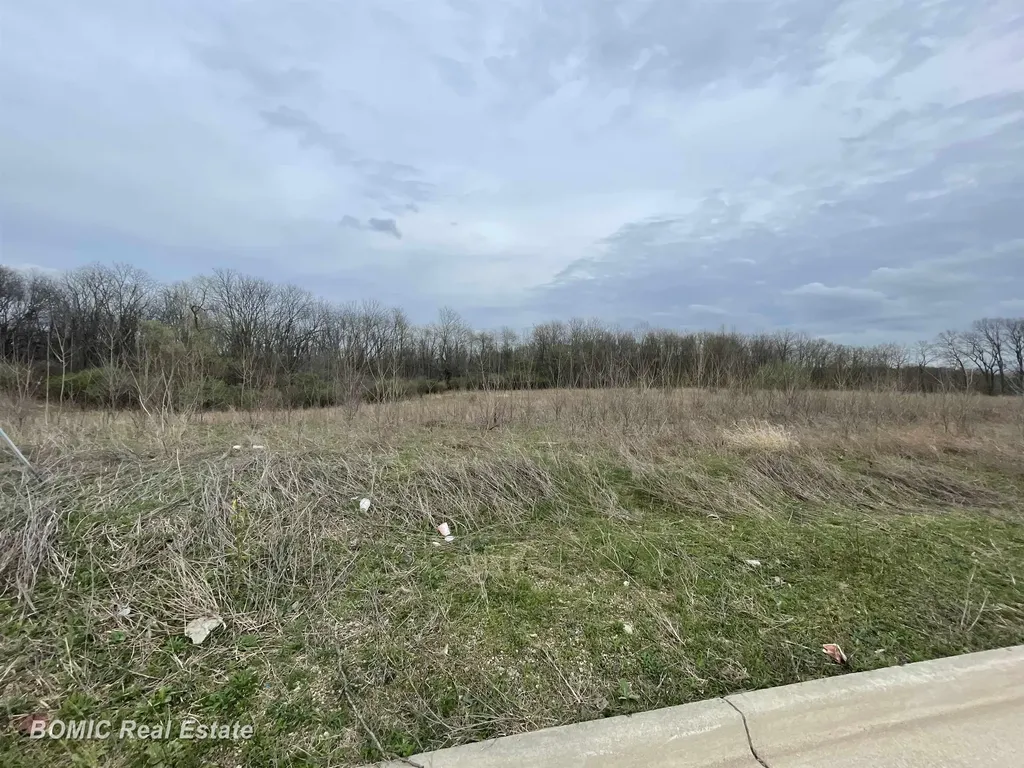Lot 6 Harvest Park Drive Dimondale Village MI 48821