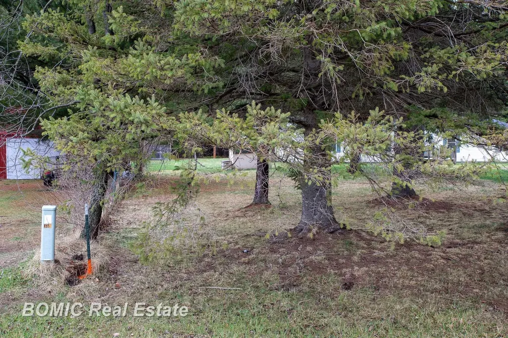 4562 Hanes Road Vassar Township MI 48768