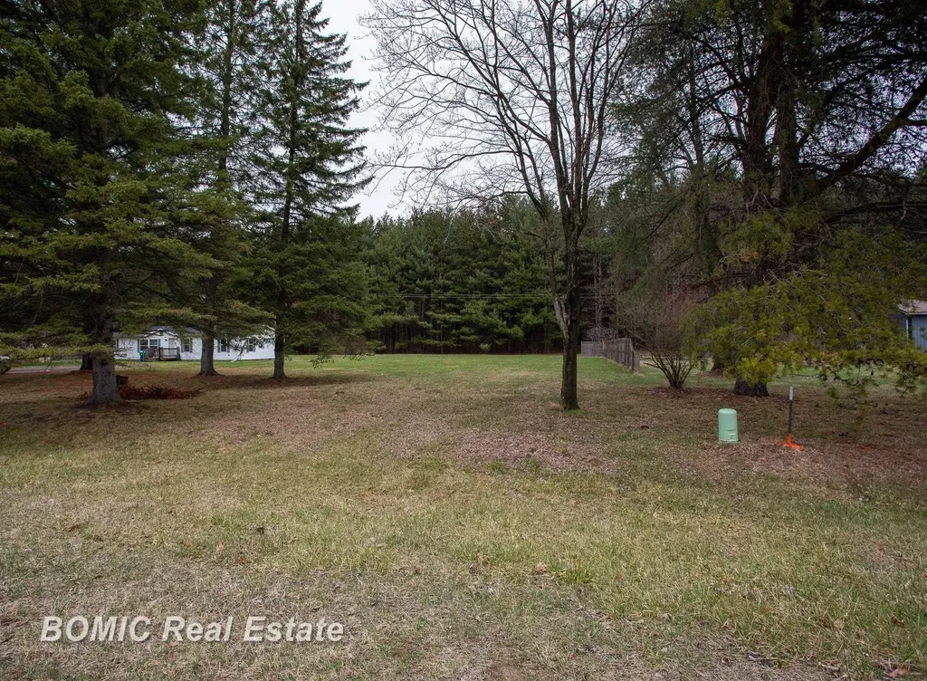 4562 Hanes Road Vassar Township MI 48768
