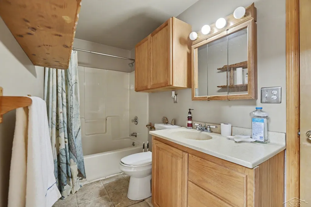 1742 W Moorestown Road Pioneer Township MI 49651