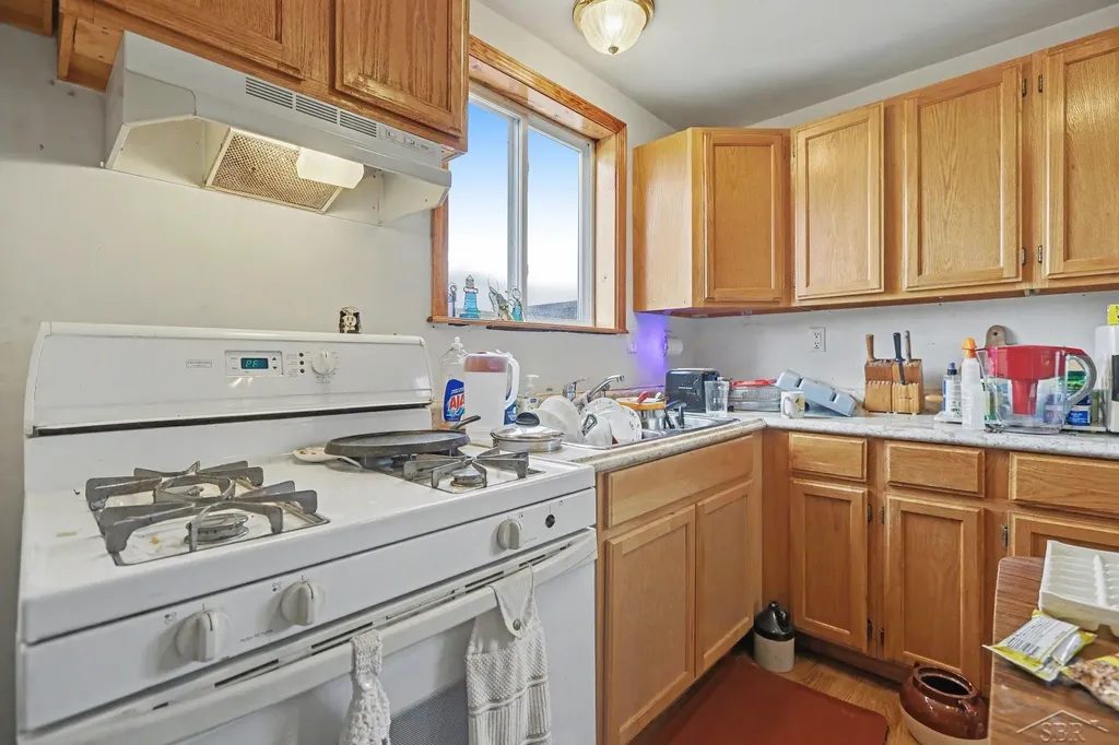 1742 W Moorestown Road Pioneer Township MI 49651