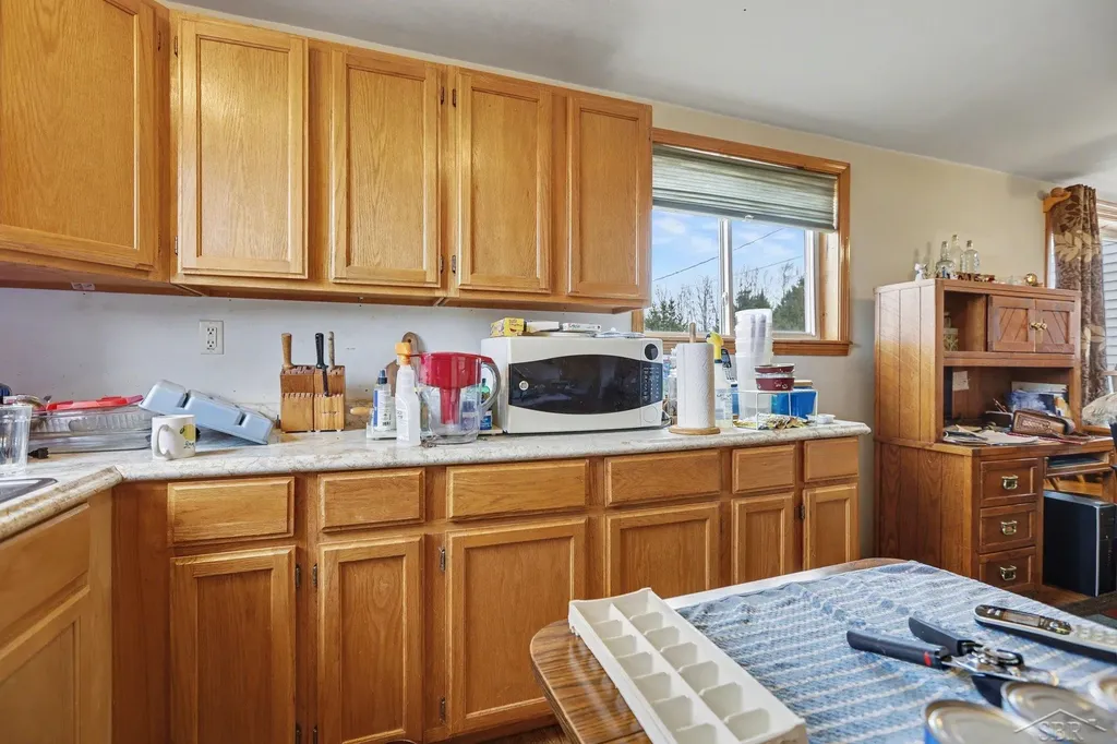 1742 W Moorestown Road Pioneer Township MI 49651