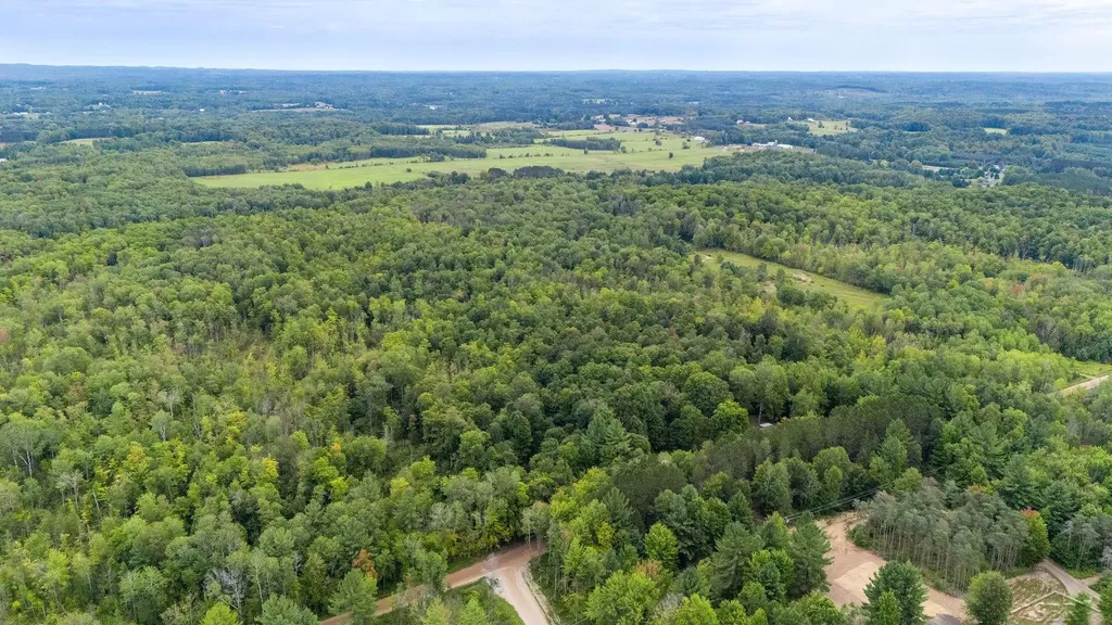 20686 Lakola Road Burdell Township MI 49688