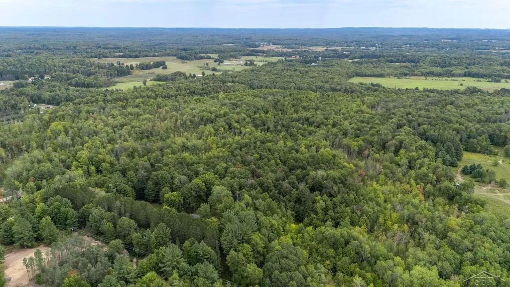 20686 Lakola Road Burdell Township MI 49688