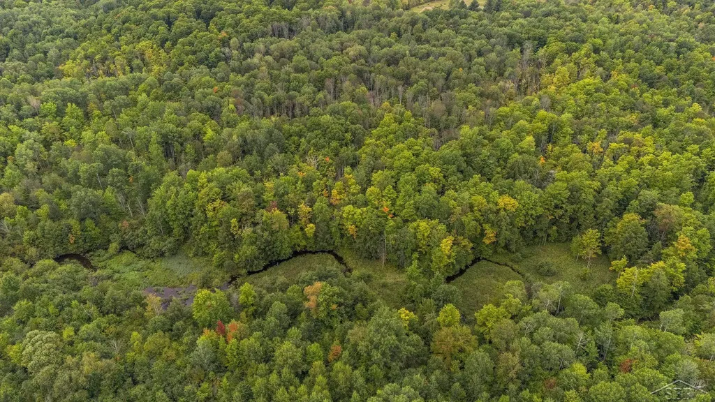 20686 Lakola Road Burdell Township MI 49688