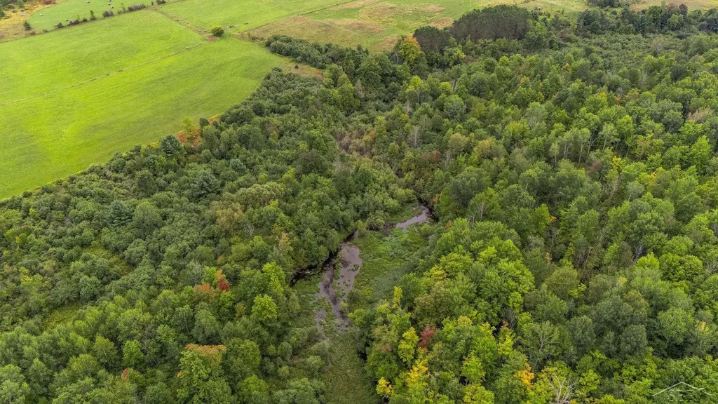 20686 Lakola Road Burdell Township MI 49688
