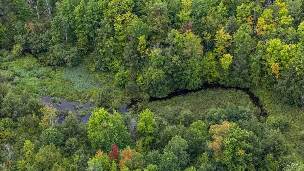 20686 Lakola Road Burdell Township MI 49688
