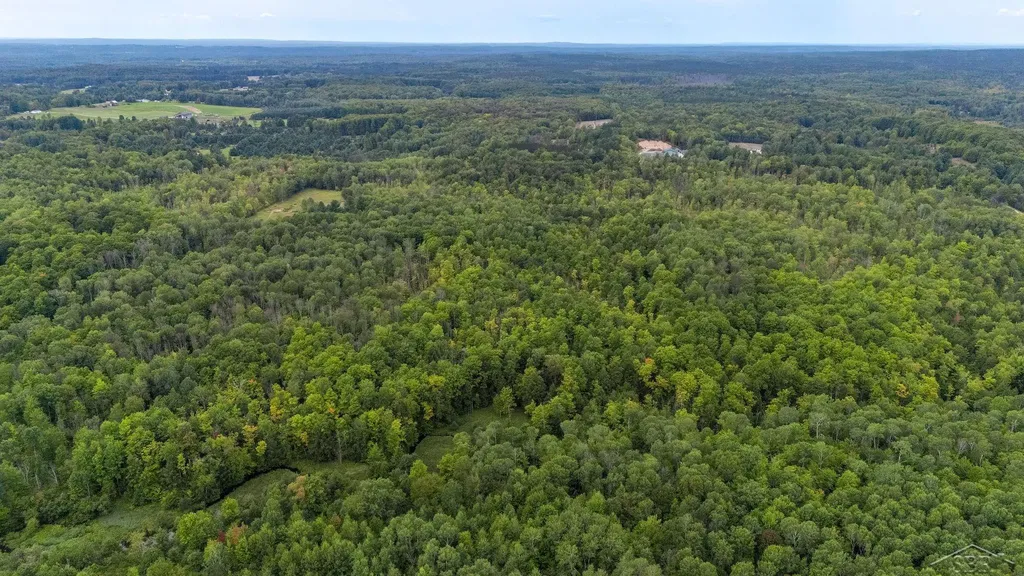 20686 Lakola Road Burdell Township MI 49688