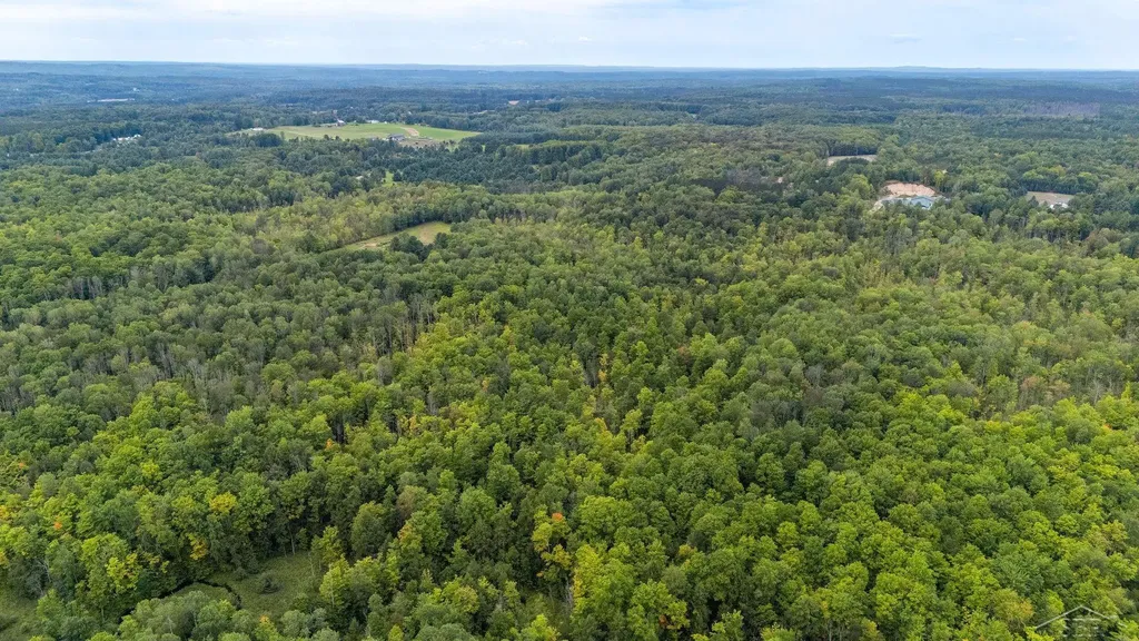 20686 Lakola Road Burdell Township MI 49688