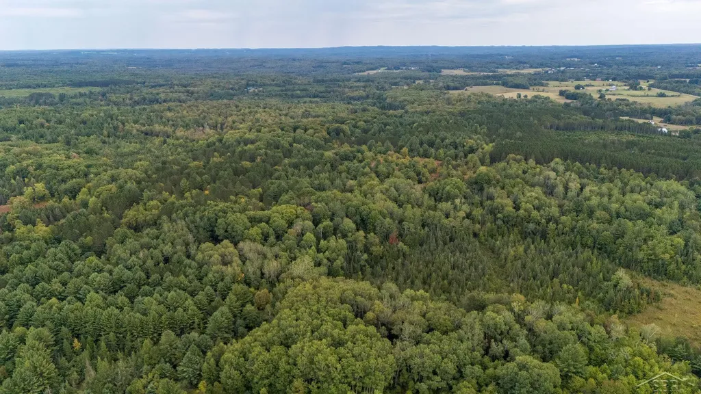 20686 Lakola Road Burdell Township MI 49688