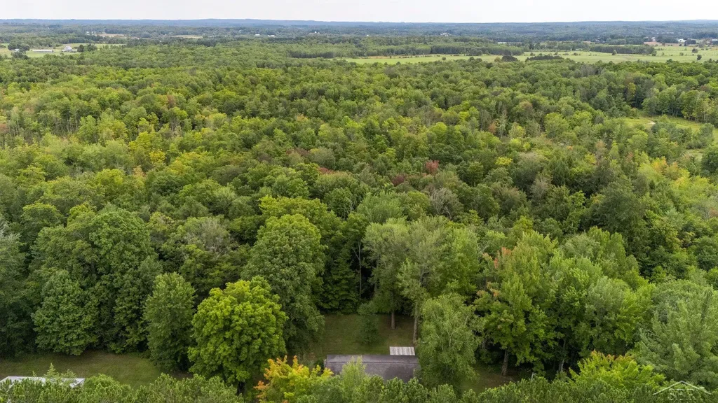 20686 Lakola Road Burdell Township MI 49688