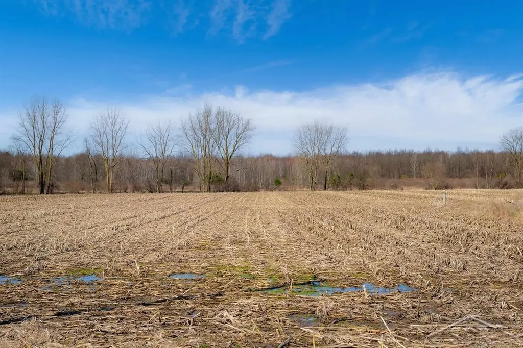 Ville S Iva Road Fremont Township MI 48655