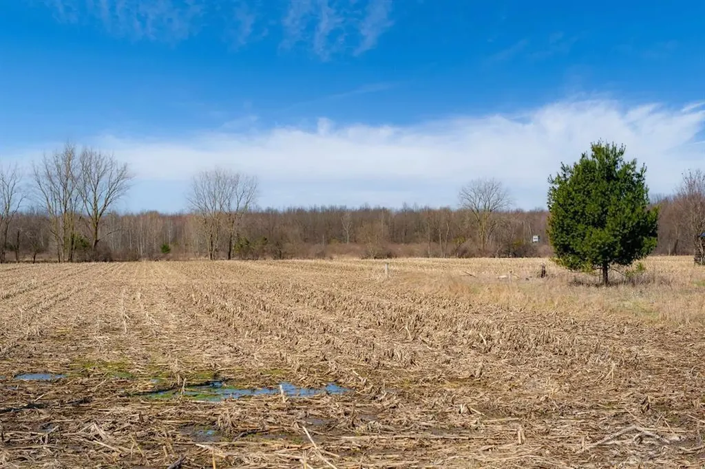 Ville S Iva Road Fremont Township MI 48655