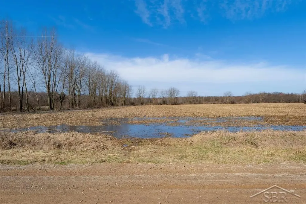 Ville S Iva Road Fremont Township MI 48655