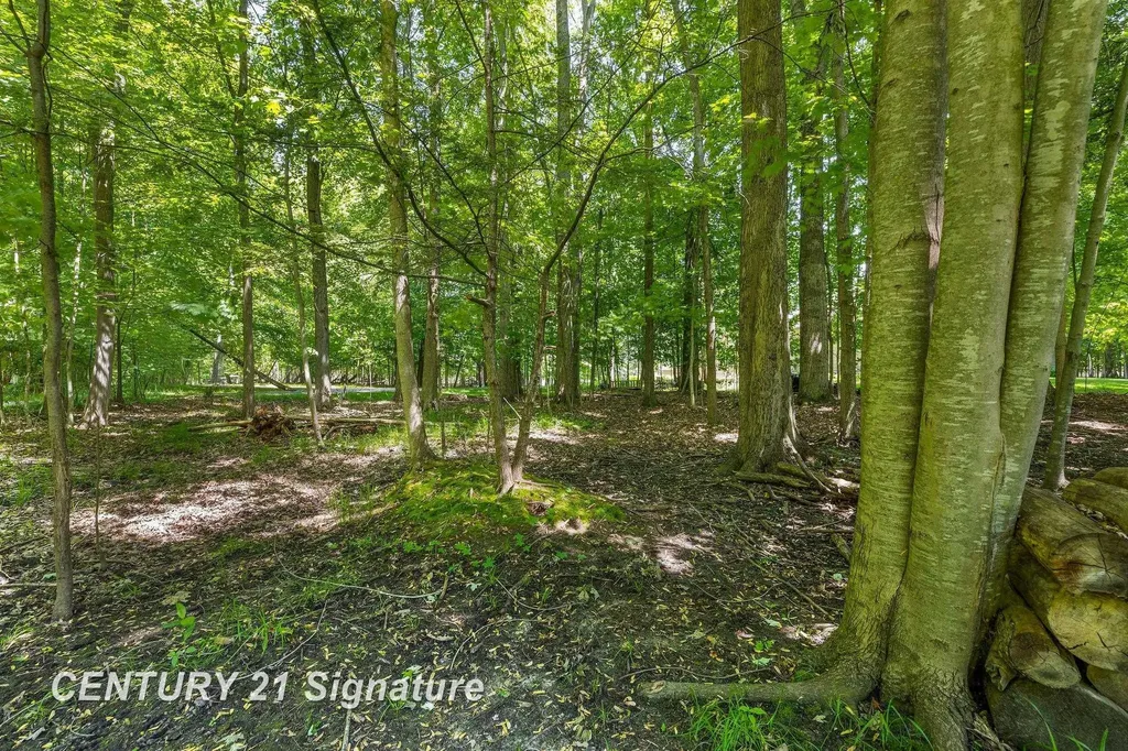 8201 Moll Lane Tittabawassee Township MI 48623