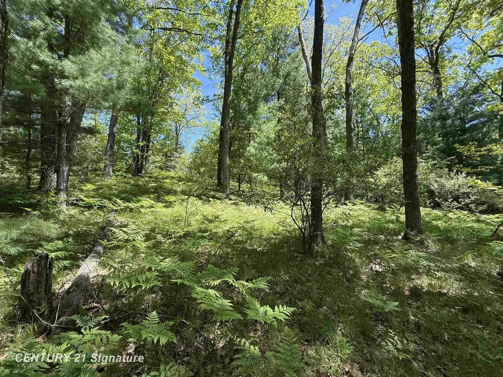 981 E Cranberry Lake Road Hayes Township MI 48625