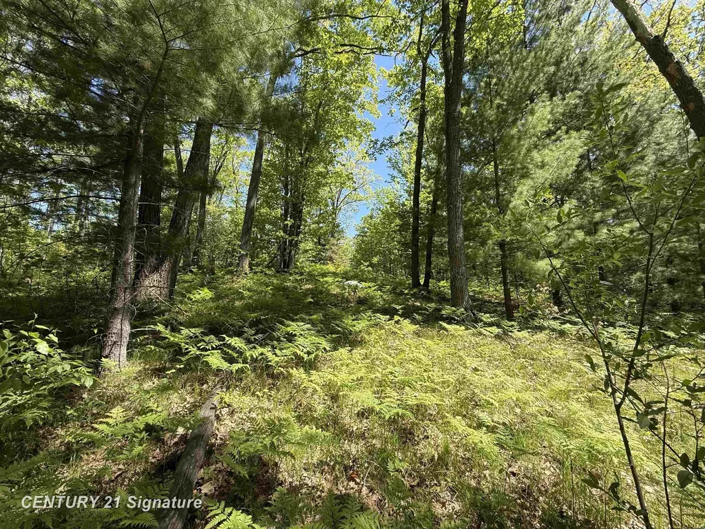 981 E Cranberry Lake Road Hayes Township MI 48625