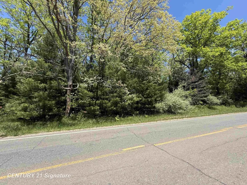 981 E Cranberry Lake Road Hayes Township MI 48625