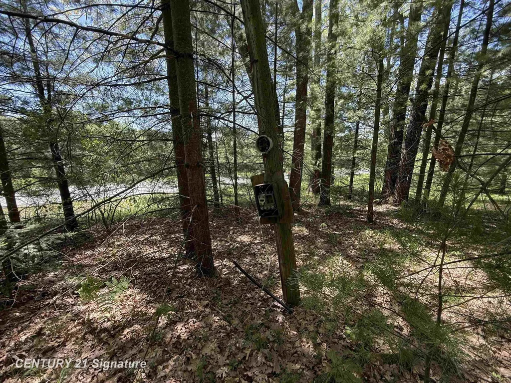 981 E Cranberry Lake Road Hayes Township MI 48625
