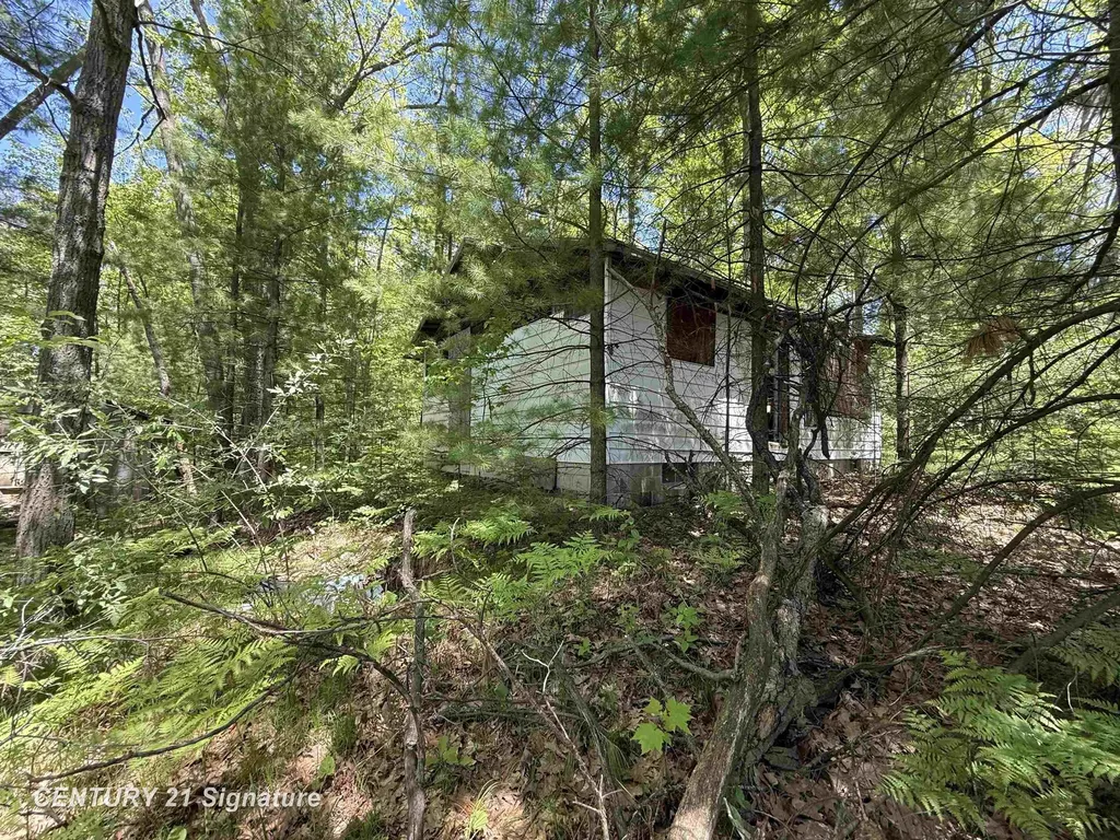 981 E Cranberry Lake Road Hayes Township MI 48625
