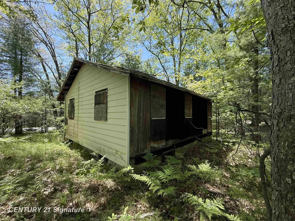 981 E Cranberry Lake Road Hayes Township MI 48625