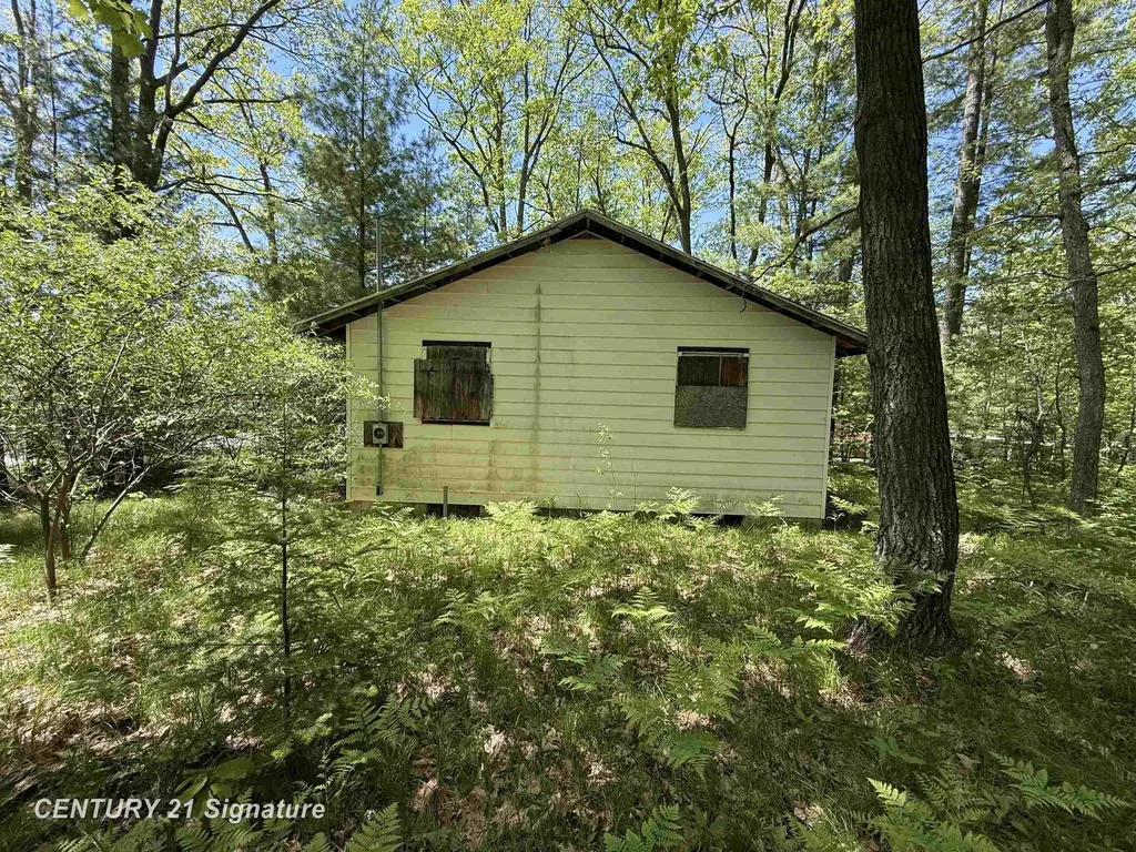 981 E Cranberry Lake Road Hayes Township MI 48625