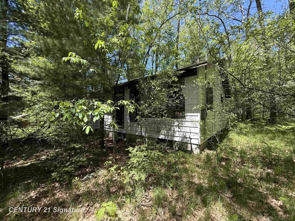 981 E Cranberry Lake Road Hayes Township MI 48625
