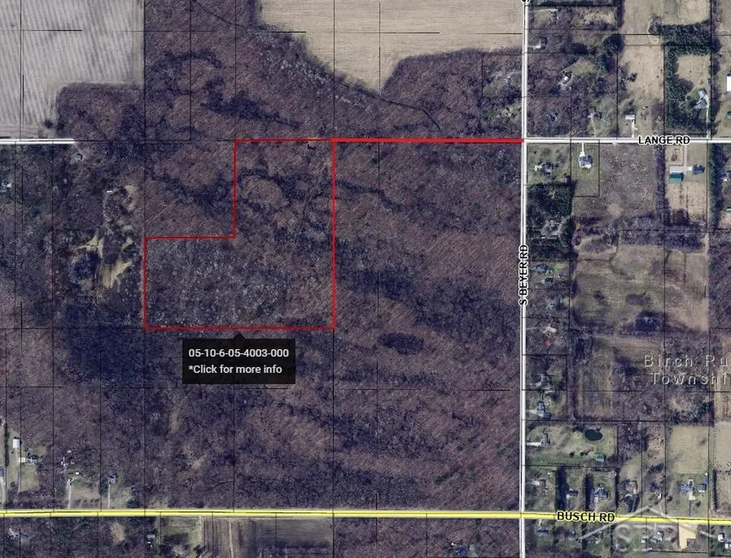 0 Lange Road Birch Run Township MI 48722